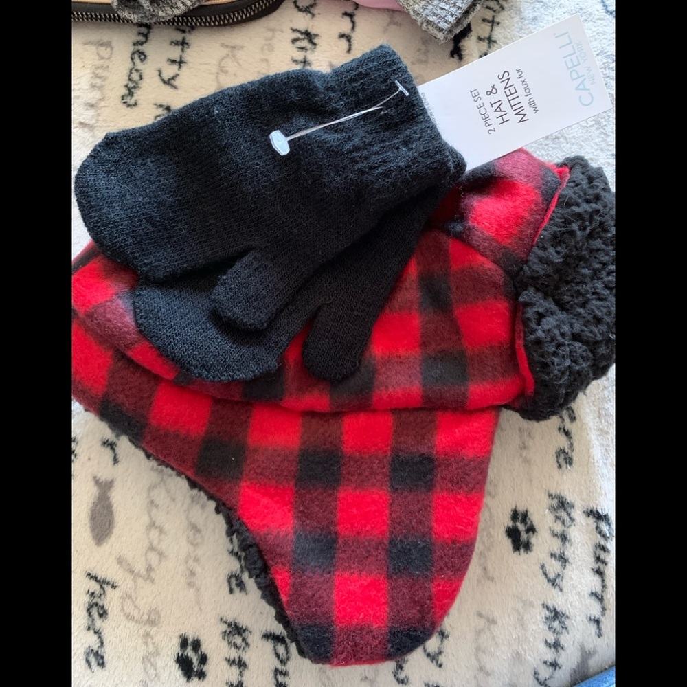 Capelli New York 2 piece set Hat and Mittens size 2T-4T NWT